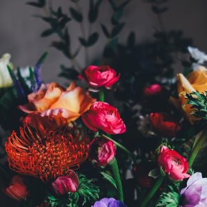 Forget-me-not seed kit